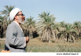 آيت الله غلامحسين جمي