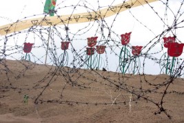 «فکه» میعادگاه عشاق