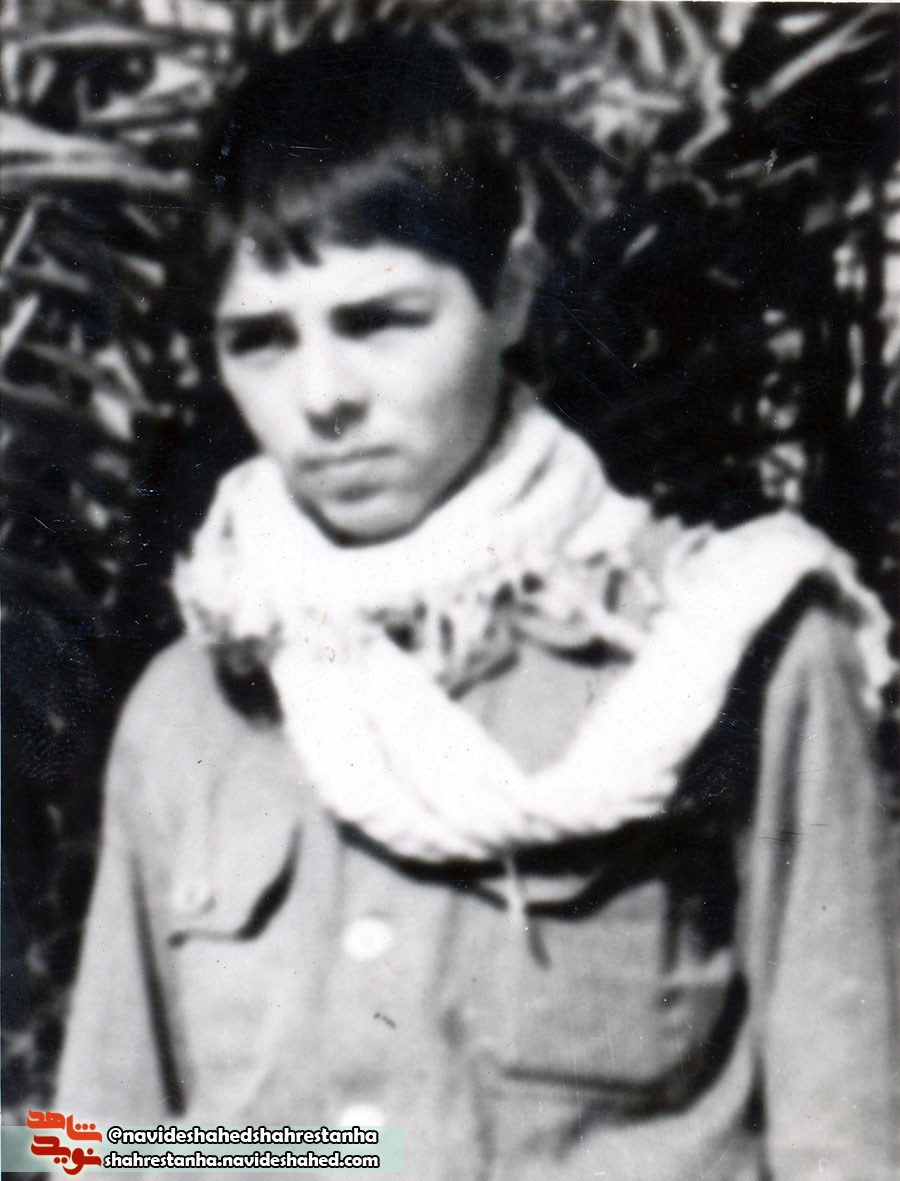 شهید