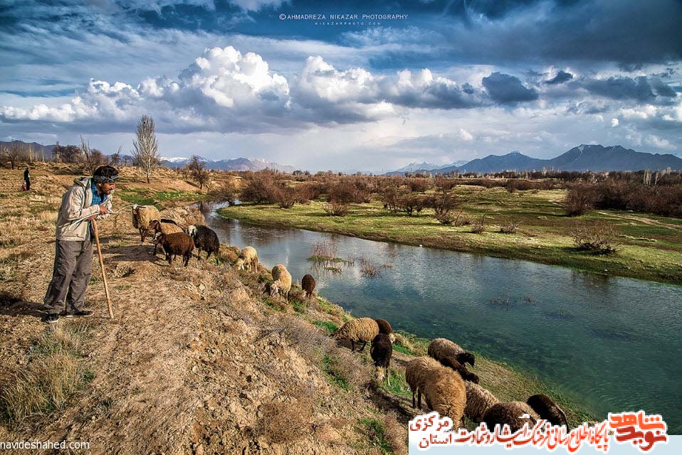 معرفی چهار شهید روستای 