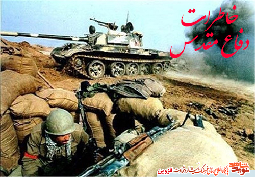 با آب دادن به گربه‌ها، خداوند ما را نجات داد!