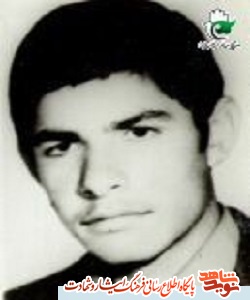 دلاورمردی از خطه شیرانِ مانه و سملقان دلاورمردی از خطه شیرانِ مانه و سملقان