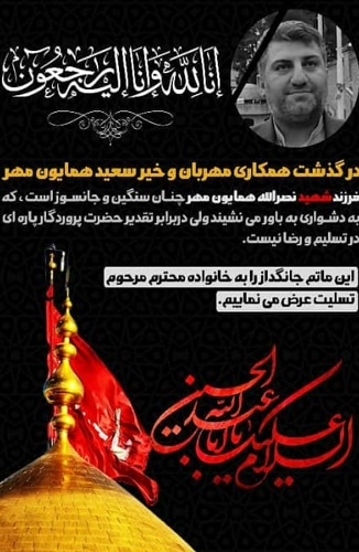 پیام تسلیت معاون فرهنگی و آموزشی بنیاد شهید در پی درگذشت مرحوم سعید همایون مهر