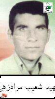 دیدار با خانواده شهید