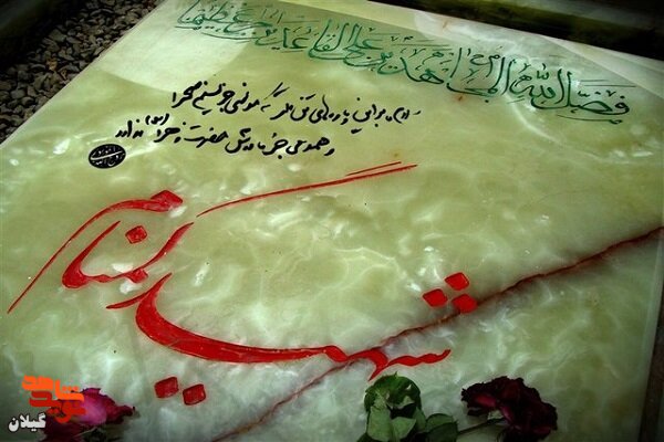 ویژه‌ برنامه‌های