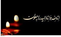 مادر شهید «زاهدی» به فرزند شهیدش پیوست