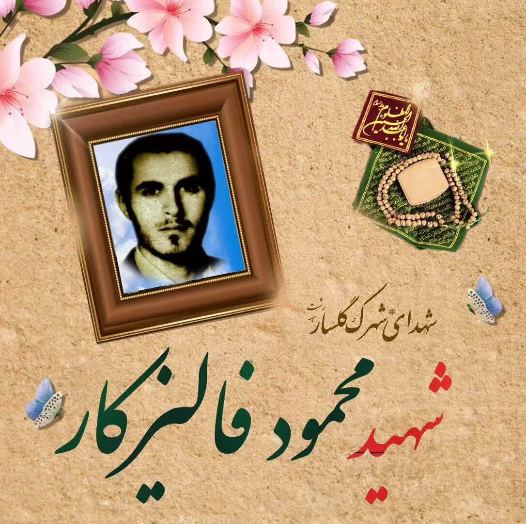 زندگینامه شهید دفاع مقدس «محمود فالیزکار»