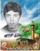 صادق اهل این دنیا نبود