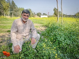جوانان ایران، افسران شجاع جنگ نرم هستند