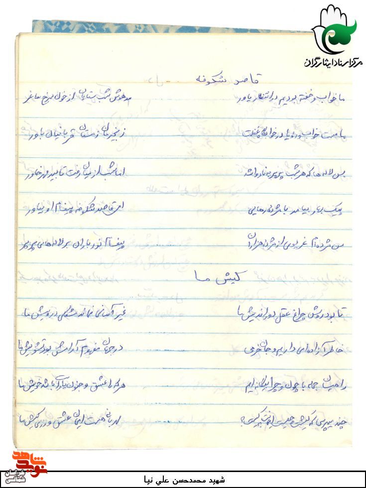 گزارش تصویری