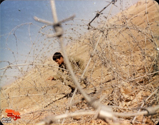 آلبوم تصاویر خاطره انگیز شهید «حمید کوهی»