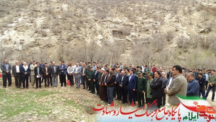 کاشت نهال به مناسبت بزرگداشت روز شهید