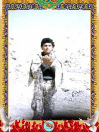 شهید محمود امی